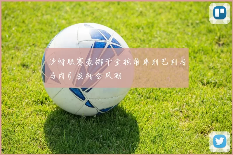 沙特联赛豪掷千金挖角库利巴利与马内引发转会风潮