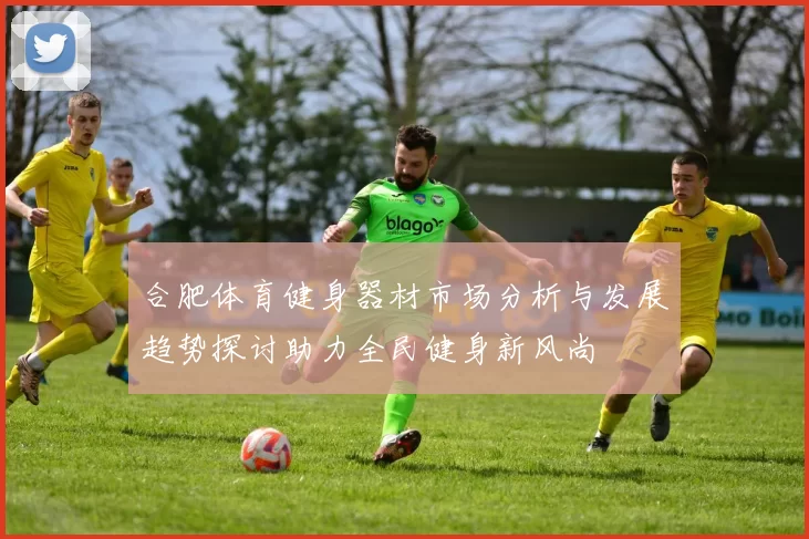 合肥体育健身器材市场分析与发展趋势探讨助力全民健身新风尚
