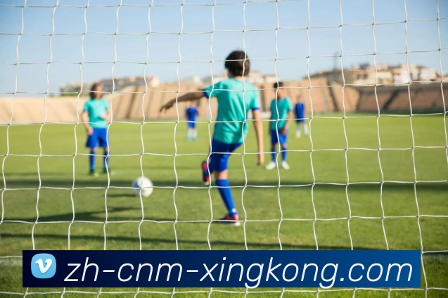 多媒体互动体验